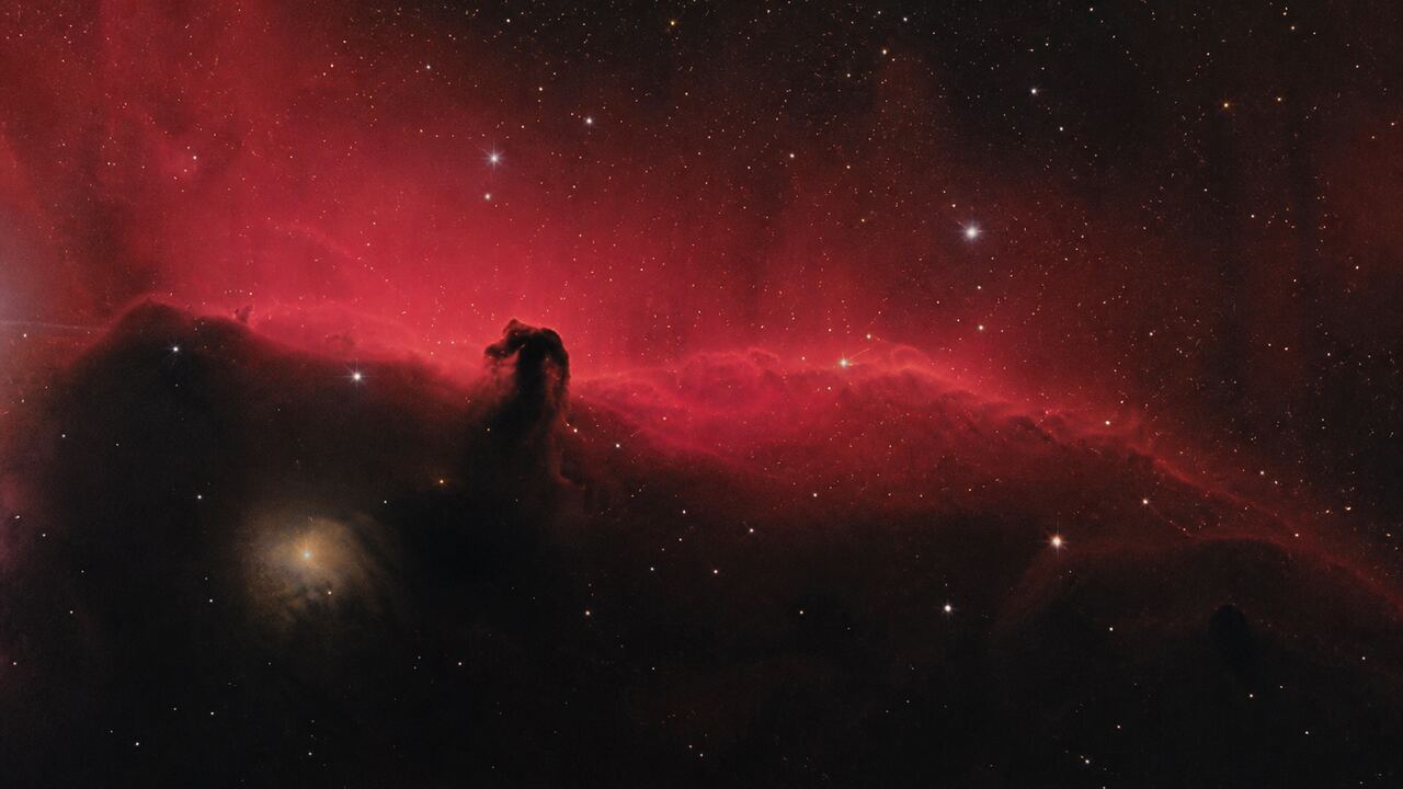 Horsehead Nebula archive plate